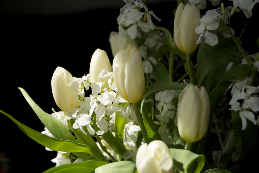 white tulip arrangement