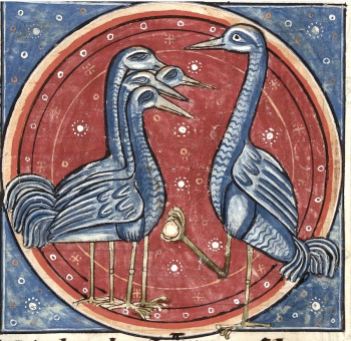 Cranes. 13th-century Bestiary MS Harley 4751, f46. British Library.